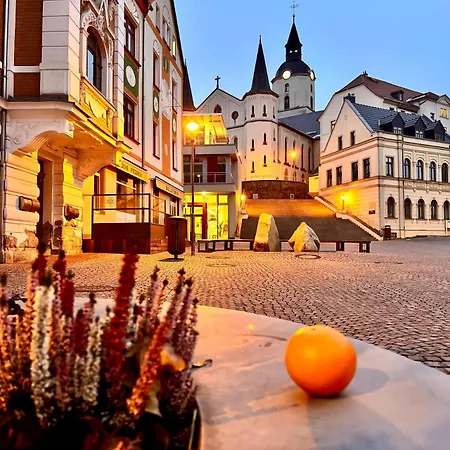 Zentrum Apartment Meerane